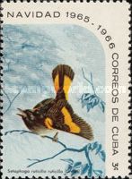American Redstart (Setophaga ruticilla)