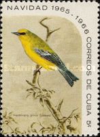 Blue-winged Warbler (Vermivora pinus)