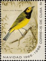 Hooded Warbler (Wilsonia citrina)