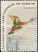 Blue-winged Teal (Anas discors)