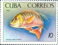 Mutton Snapper (Lutianus analis)