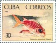 Longjaw Squirrelfish (Holocentrus ascensionis)