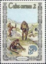 Australopithecus