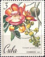 Coroupita guianensis