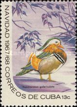 Mandarin Duck (Aix galericulata)