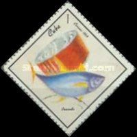 Yellowfin Tuna (Thunnus albacares), Fish Can