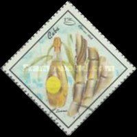 Rum, Sugar cane