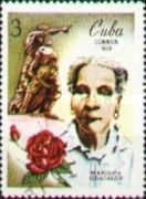 Mariana Grajales, rose and statue
