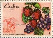 Strawberries and Grapes