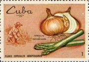 Onion and asparagus