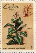 Tobacco