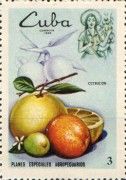 Citrus Fruits