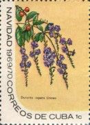Duranta repens