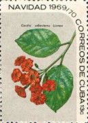 Cordia sebestena