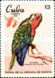 Cuban Parrot (Amazona leucocephala)