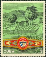 Tobacco plantation