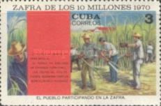 Cutting of sugar cane