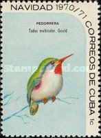 Cuban Tody (Todus multicolor)
