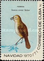 Zapata Wren (Ferminia cerverai)