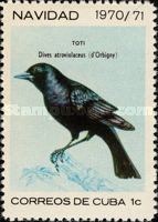 Cuban Blackbird (Dives atroviolaceus)