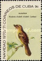 Cuban Solitaire (Myadestes elisabeth)