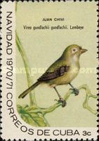 Cuban Vireo (Vireo gundlachii)