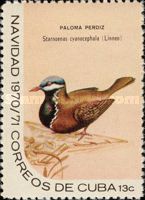 Blue-headed Quail-dove (Starnoenas cyanocephala)