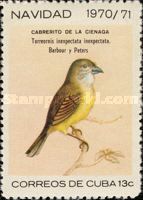 Cuban Sparrow (Torreornis inexpectata)