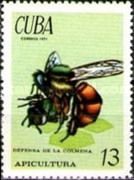 Defending the Hive (Apis sp.)