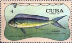 Common Dolphinfish (Coryphaena hippurus)