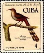 Great Lizard-cuckoo (Saurothera merlini)