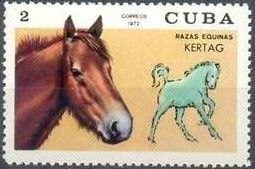 Kertag (Equus ferus caballus)