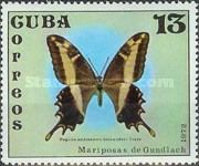 Bahaman Swallowtail (Papilo andraemon ssp. hernandezi)