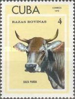 Suiza Parda (Bos primigenius taurus)