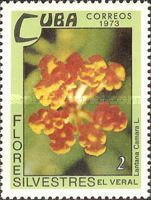 Lantana camara