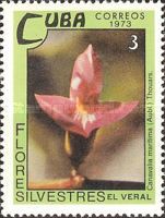 Canavalia maritima