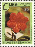 Cordia sebestena