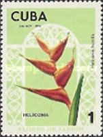 Heliconia humilis