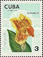 Canna generalis