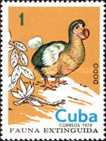 Dodo (Raphus cucullatus) 