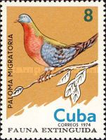 Passenger Pigeon (Ectopistes migratorius)