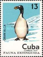Great Auk (Pinguinus impennis)