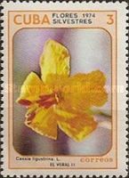 Cassia ligustrina