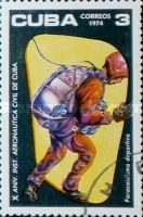 Parachutist