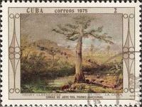 Henry Cleenewerk : La Ceiba
