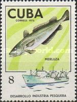 Atlantic Cod (Gadus morhua)