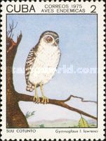 Bare-legged Owl (Gymnoglaux lawrenci)