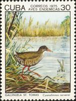 Zapata Rail (Cyanolimnas cerverai)
