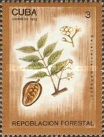 American Mahogany (Swietenia mahagoni)
