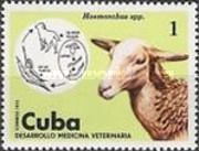 Barber's Pole Worm (Haemonchus contortus), Sheep (Ovis ammon